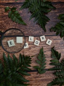 Explore