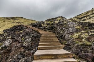 Steps in the wild